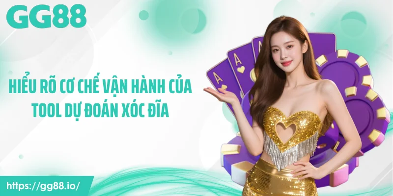 Hiểu rõ cơ chế vận hành của tool dự đoán xóc đĩa