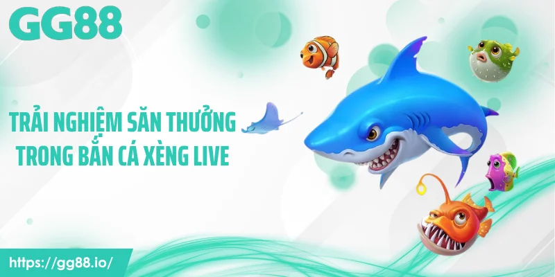 Trải nghiệm săn thưởng trong bắn cá xèng live